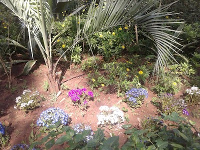 Photos of Les Jardins Exotiques de Bouknadel