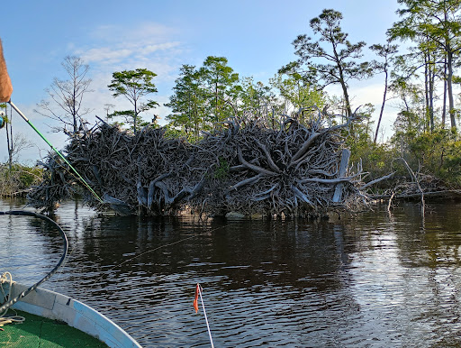 North River Game Land - Thumbnail