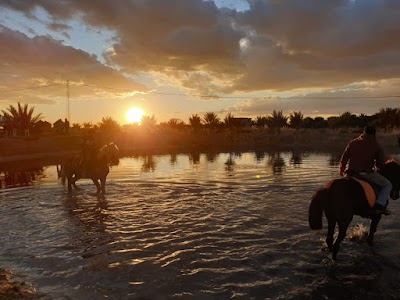 Ranch Equi Balade Tozeur