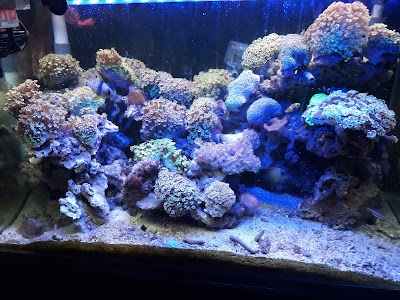 aquarium