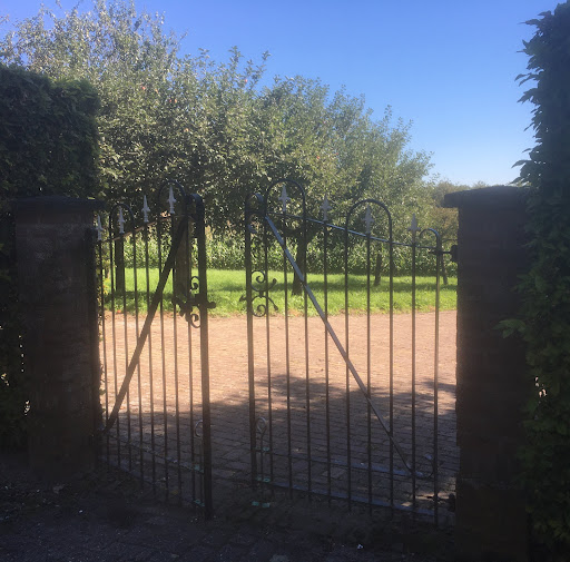 Protestantse Begraafplaats Waardhuizen - Thumbnail