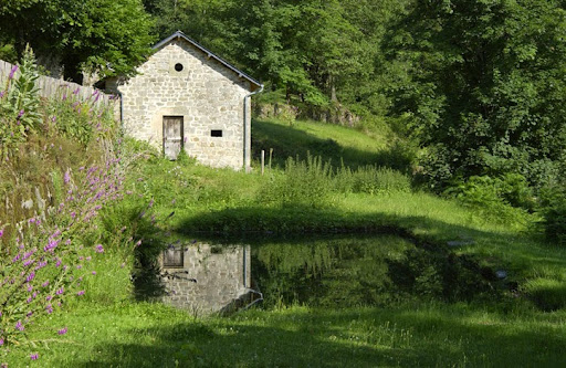 Photo de Gîte de serre à Seilhac (19700)