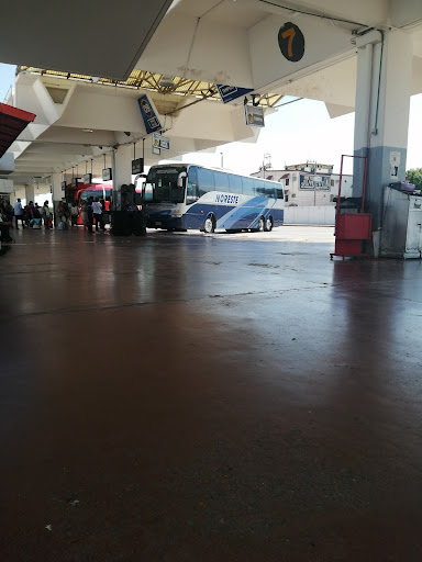 Reynosa - Visual