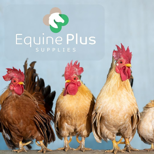 Equine Plus Supplies - Thumbnail