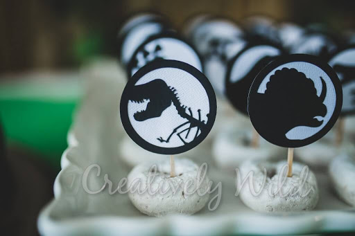 Creatively Wild - Visual