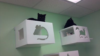 Photos of Licking County Humane Society