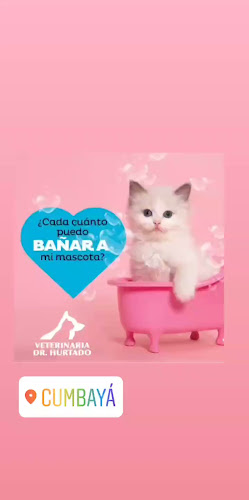 Veterinaria Dr. Hurtado - Veterinario