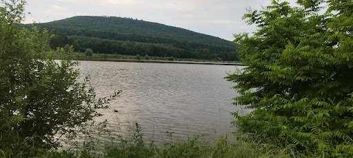 Bootsanleger Schieder See - Thumbnail