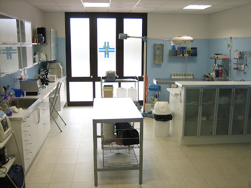 Ambulatorio Veterinario Copercini Dott.ssa Valentina - Thumbnail