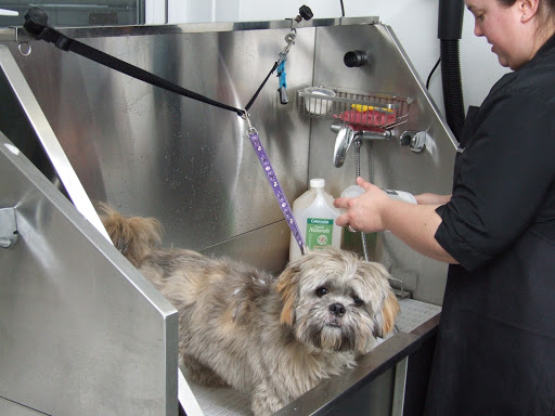 Shaw Dog Grooming - Thumbnail