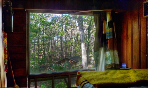 Hostel In the Forest
