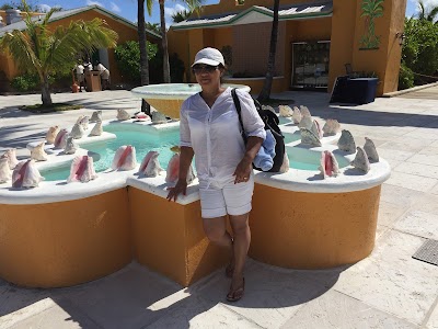Photos of Little San Salvador Island
