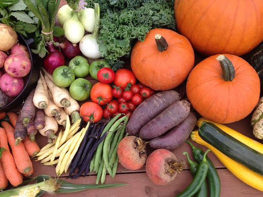 Lester's Farm Market - Thumbnail