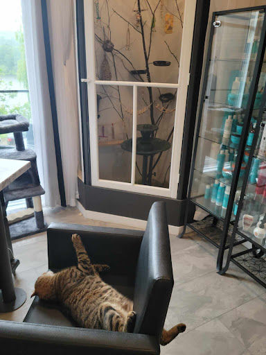Love animalerie et garderie - Thumbnail