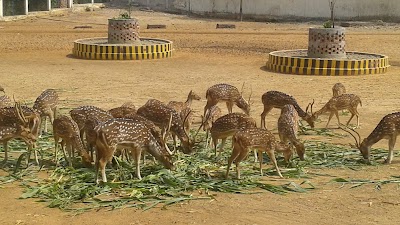 Photos of Bangladesh National Zoo