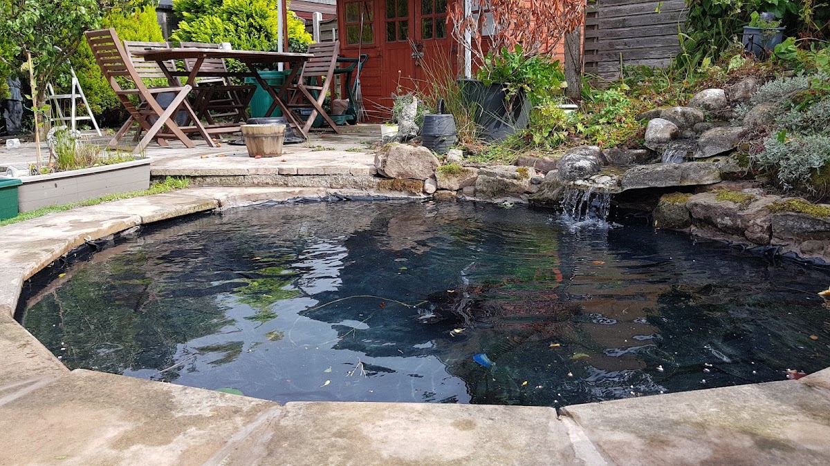 Parkstone Koi & Pond Maintenance