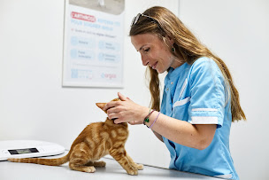 Photo n°6 de Clinique Vétérinaire Argos Paris Brancion à Paris (Vétérinaire)