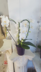 Photo n°18 de Le fleuriste du plateau à Bezons (Fleuriste)