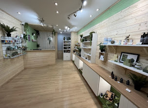 Photo n°2 de NATURAL CBD SHOP à Merville (Magasin de cannabis)