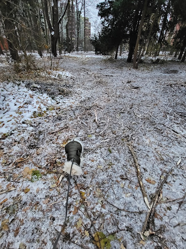 Marienparkweg - Thumbnail