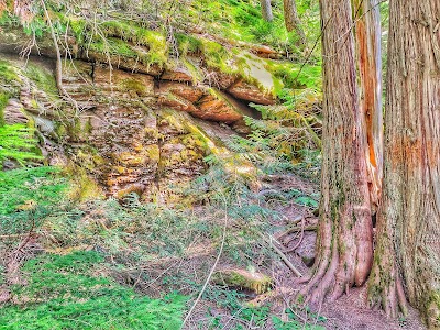 Trail of the Cedars Nature Trail