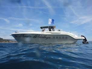 Photo n°10 de Plongée privilège Bormes les mimosas à Bormes-les-Mimosas (Moniteur de plongée)