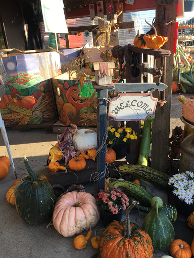 Vancouver Pumpkin Patch - Visual