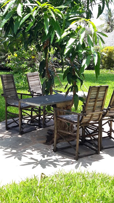Photos of Palm Dream Villa