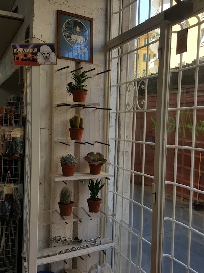 Photos of Animalerie