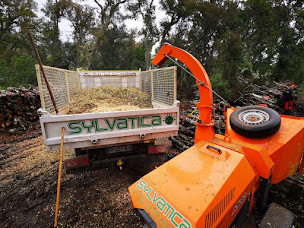 Photo n°18 de Sylvatica à Sartène (Paysagiste)