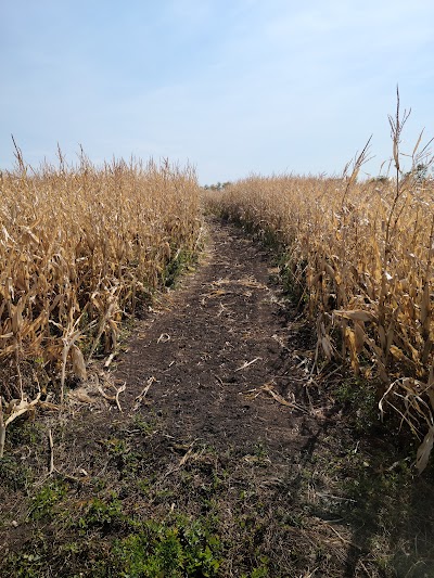 CCCC Corn Maze & Pumpkin Patch