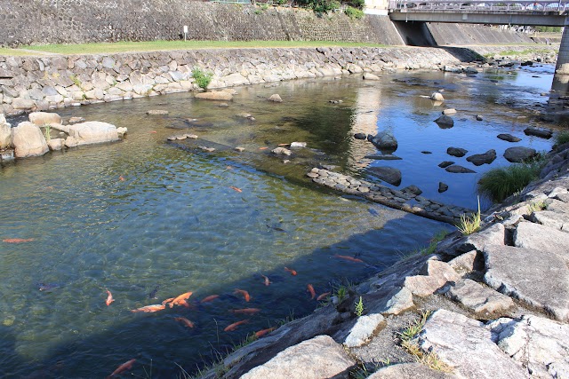 Miyagawa Morning Market