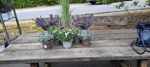 Das Tor zum Garten - Thumbnail