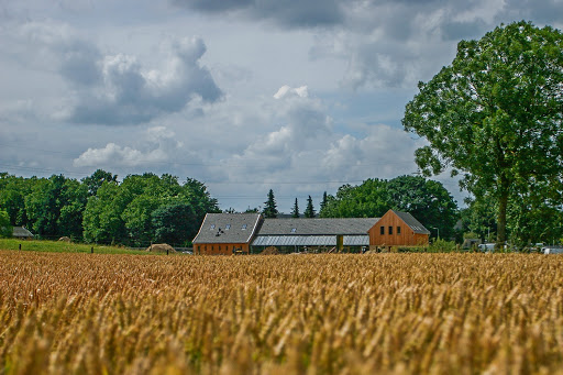 site_photo2