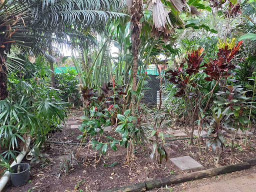 Buckland And Sons Garden Care Maintenance - Thumbnail