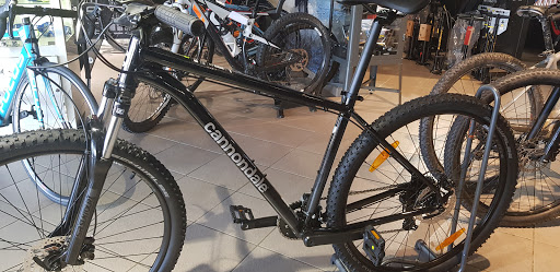 Two Wheels S.R.L. - Visual