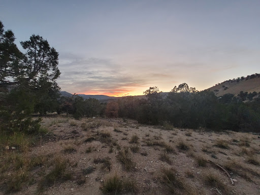 Twisted Acres - Visual