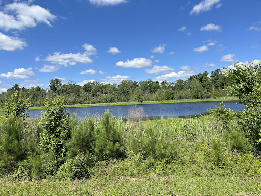 Lake Busbee Walking Trail
