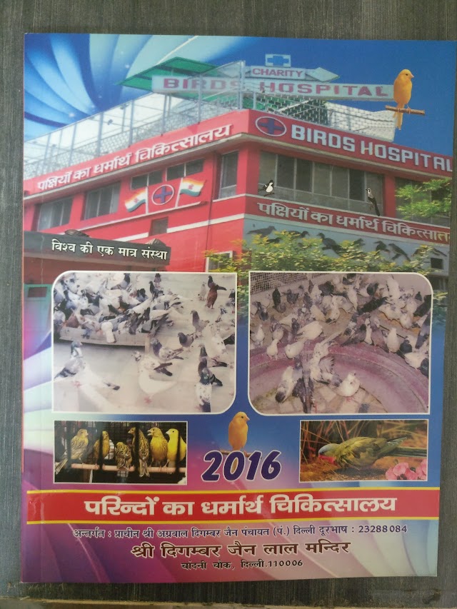 Charity Bird Hospital - पक्षियों का धर्मार्थ चिकित्सालय