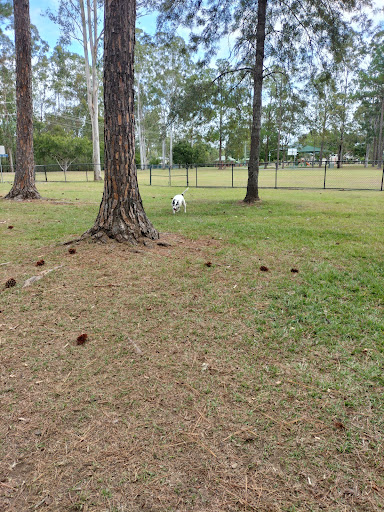 Ryan Park Dog Off Leash Area - Thumbnail