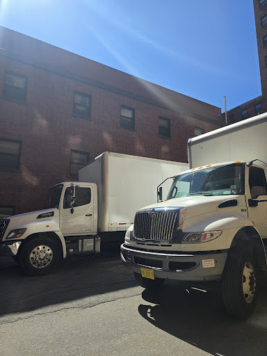 Only Movers - Thumbnail