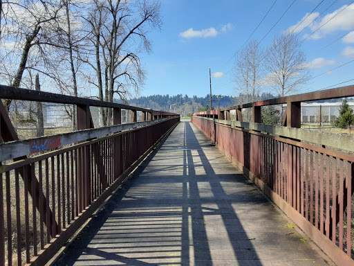 Sumner Link Trail Access Logo