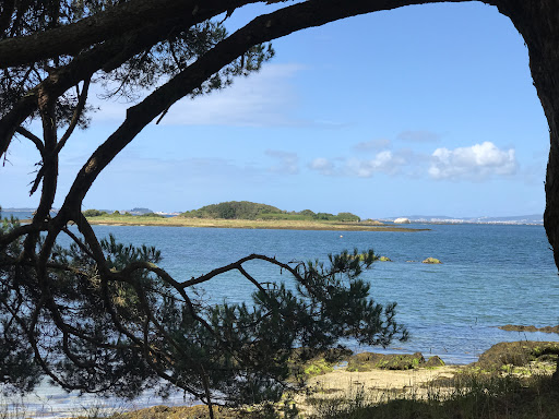 Corticata Turismo Medioambiental - Isla Cortegada