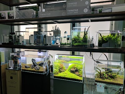 Aqua Forest Aquarium