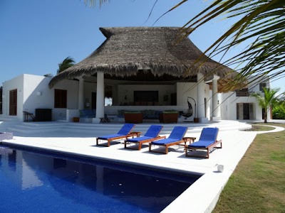 Photos of The White Orchid