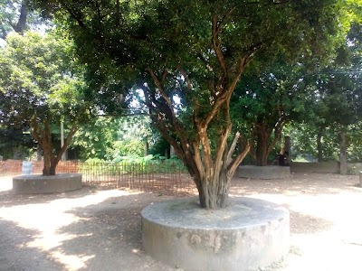 Photos of Old Shishu Park