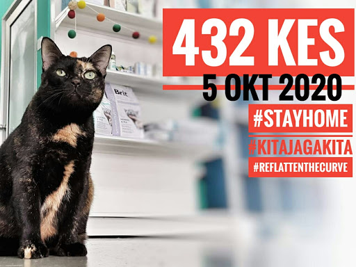 Klinik Haiwan dan Surgeri Puncak Jalil ( Helo Vet Disini ) ( CATS 