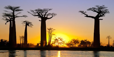 Photos of Madagascar Green Tours