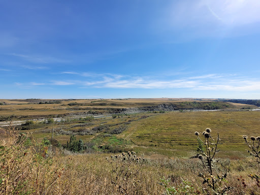 The Saskatoon Farm Gallery - Canada