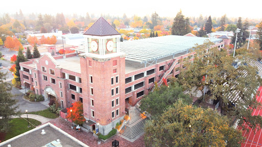 Bailey Field - Visual